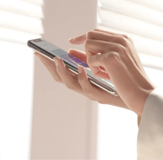 Voice Assistant Integration