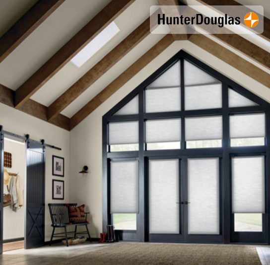 Angled and Triangular Windows